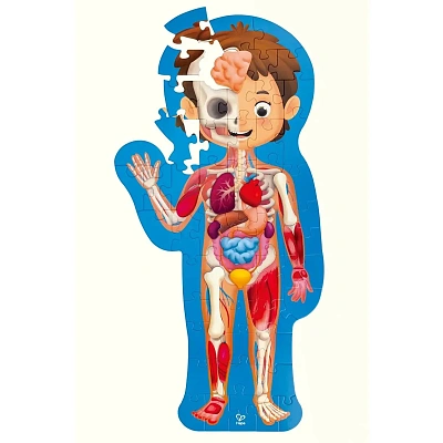 Детский пазл-игрушка "Как устроено тело человека", 60 элементов в кейсе 