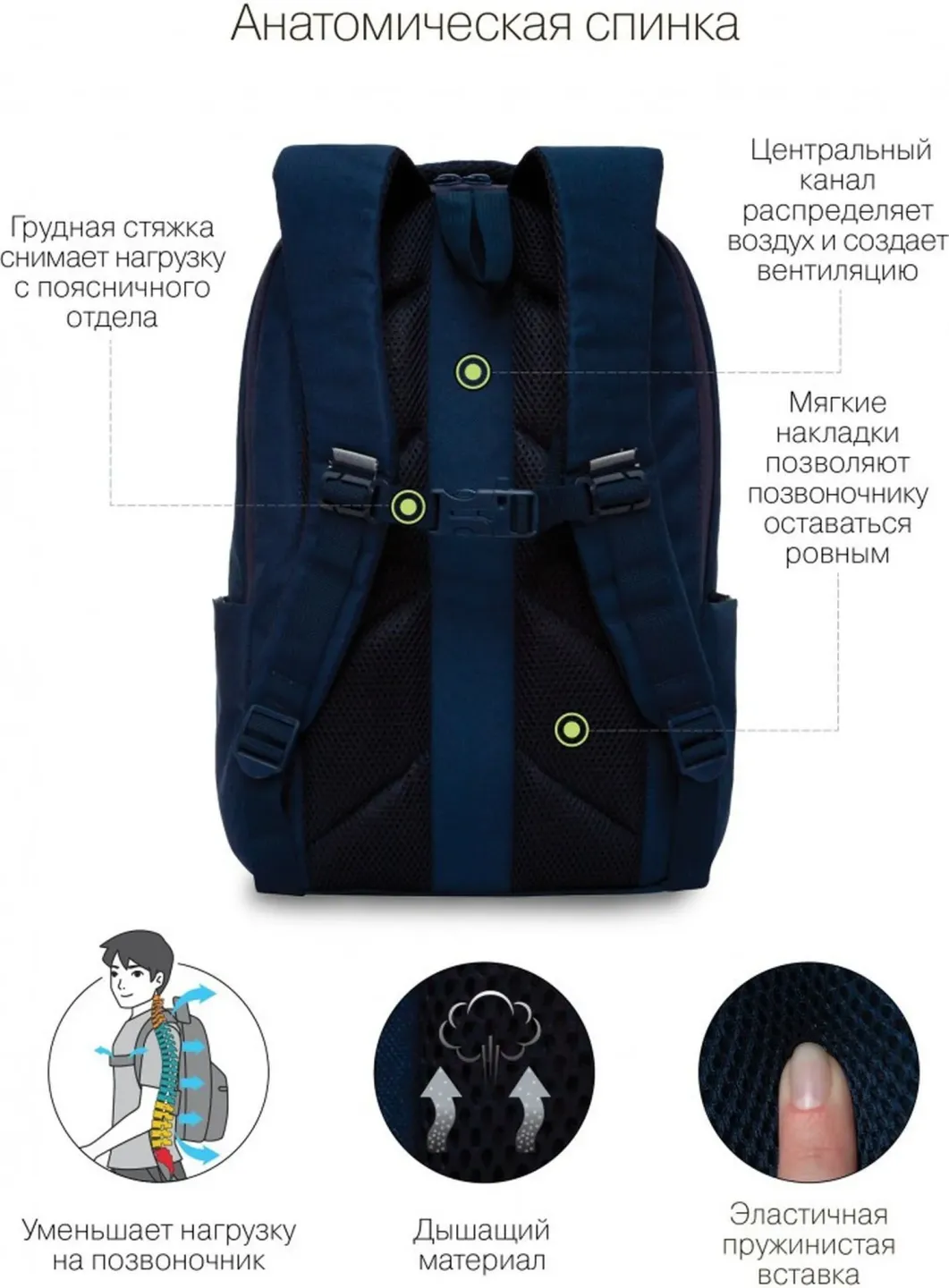 Grizzly Рюкзак RD-241-2