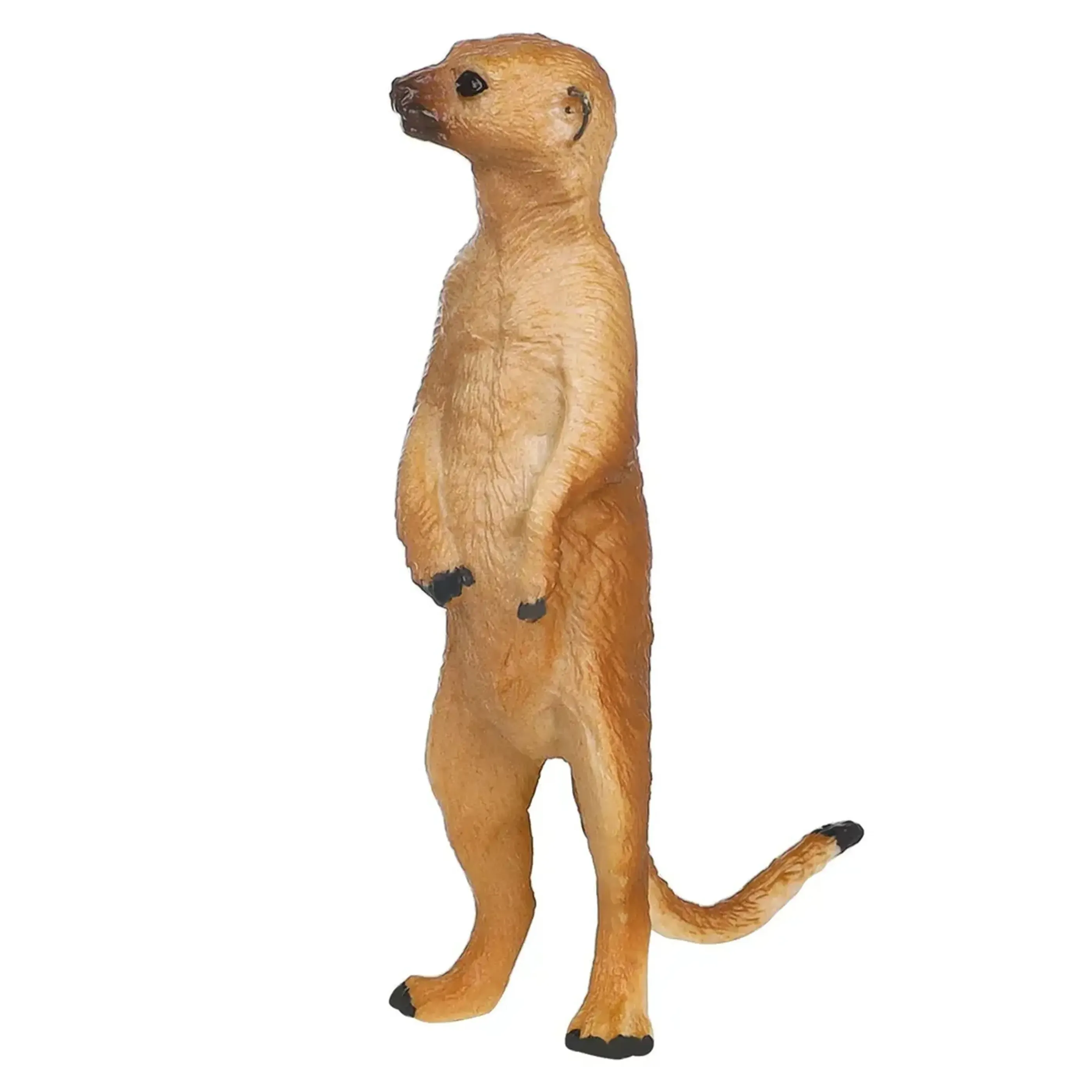 Набор фигурок животных серии “Мир диких животных“: зебра, летучая мышь, змея, сурикат