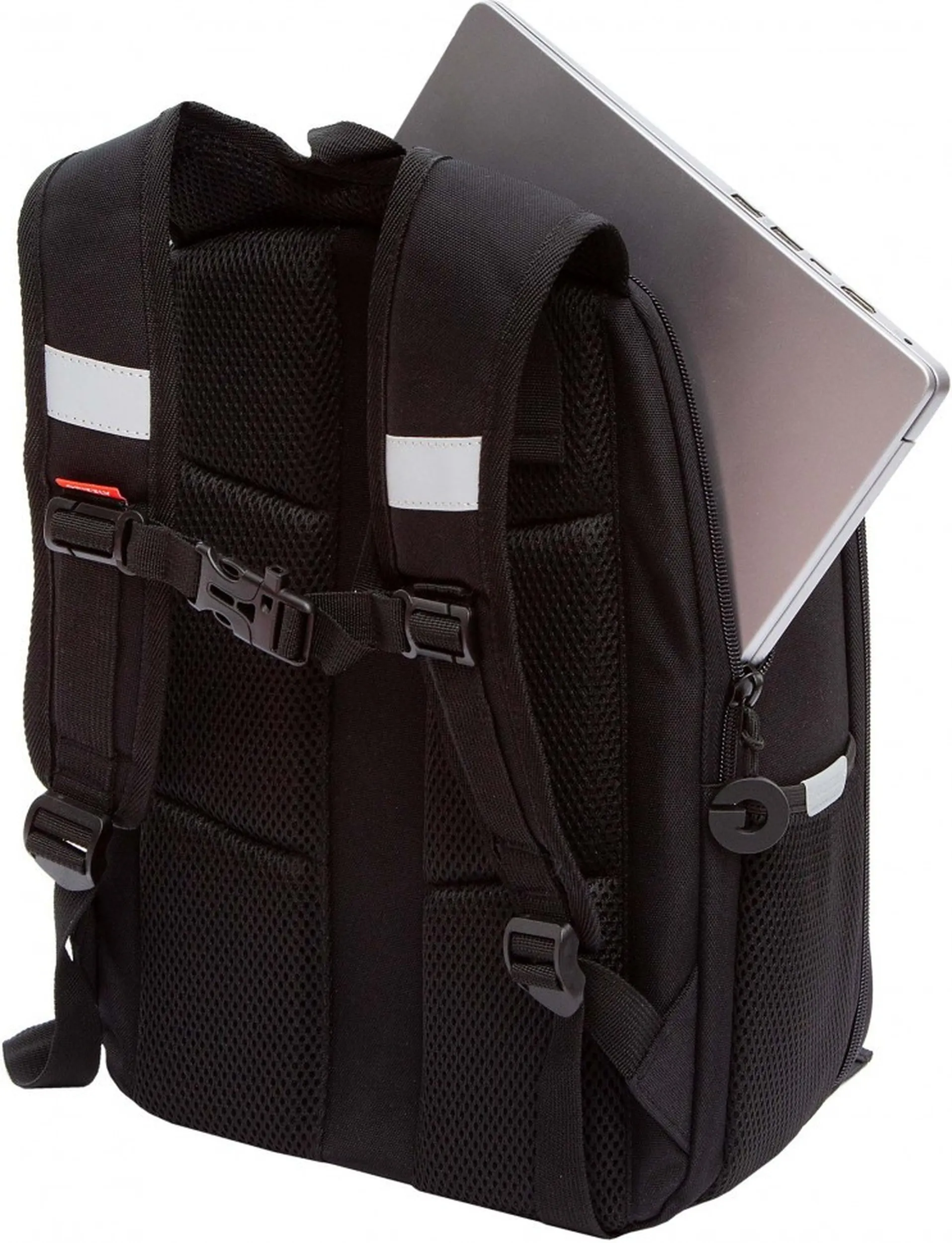 Grizzly Рюкзак RAw-595-2