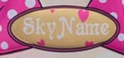 SkyName SkyName