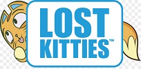 LOST KITTIES