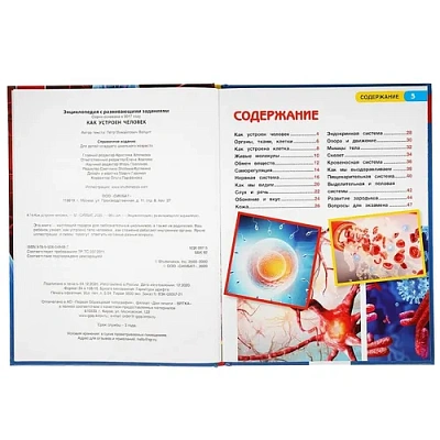 КАК УСТРОЕН ЧЕЛОВЕК. ЭНЦИКЛОПЕДИЯ А4 С РАЗВИВАЮЩИМИ ЗАДАНИЯМИ. 197Х255ММ, 48 СТР. УМКА