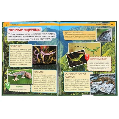 "УМКА". РЕПТИЛИИ (ЭНЦИКЛОПЕДИЯ А4). ТВЕРДЫЙ ПЕРЕПЛЕТ. БУМАГА МЕЛОВАННАЯ 130Г 197Х255 ММ