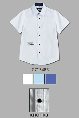 DELORAS Рубашка C71348S