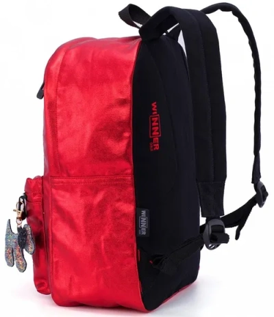 Winner Рюкзак 251