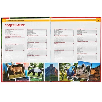 "УМКА".  ЖИВОТНЫЕ КРАСНОЙ КНИГИ (ЭНЦИКЛОПЕДИЯ А4) ТВЕРДЫЙ ПЕРЕПЛЕТ. ОБЪЕМ: 48 СТР.