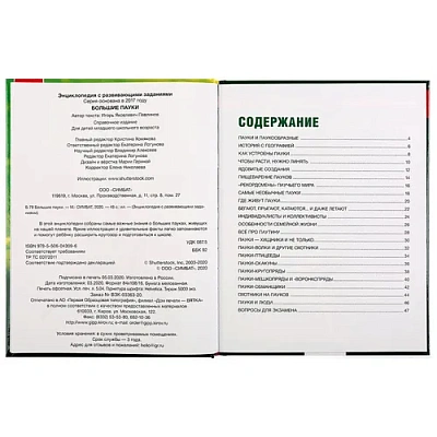 УМКА". БОЛЬШИЕ ПАУКИ (ЭНЦИКЛОПЕДИЯ А4 С РАЗВИВАЮЩИМИ ЗАДАНИЯМИ). ТВЕРДЫЙ ПЕРЕПЛЕТ