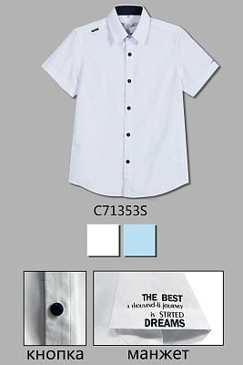 DELORAS Рубашка C71353S