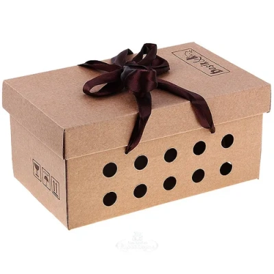 Басик в жилете с гитарой