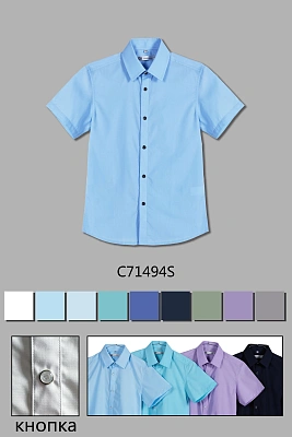 DELORAS Рубашка C71494S