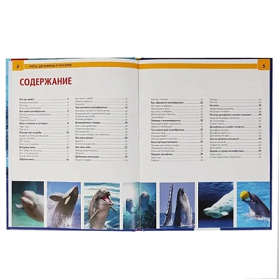 "УМКА". КИТЫ. ДЕЛЬФИНЫ И КОСАТКИ (ЭНЦИКЛОПЕДИЯ А4). ТВЕРДЫЙ ПЕРЕПЛЕТ. БУМАГА ОФСЕТНАЯ 