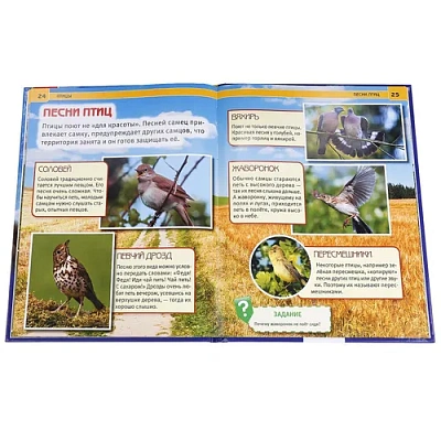 "УМКА". ПТИЦЫ (ЭНЦИКЛОПЕДИЯ А4). ТВЕРДЫЙ ПЕРЕПЛЕТ. БУМАГА МЕЛ., 48 стр., 197Х255 ММ.