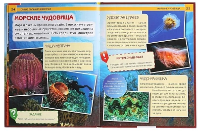 "УМКА". САМЫЕ БОЛЬШИЕ ЖИВОТНЫЕ (ЭНЦИКЛОПЕДИЯ А4)