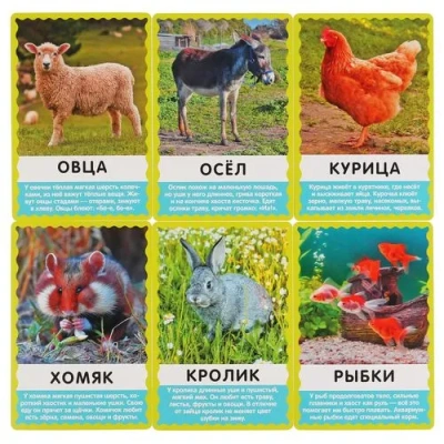 Умные игры Настольные игры 4690590233078