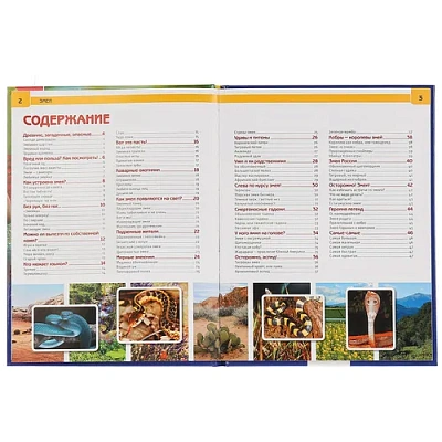 "УМКА". ЗМЕИ (ЭНЦИКЛОПЕДИЯ А4). ТВЕРДЫЙ ПЕРЕПЛЕТ. БУМАГА МЕЛОВАННАЯ 130Г. 197Х255ММ 48СТР