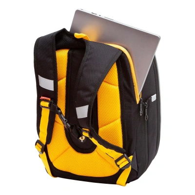 Grizzly Рюкзак RAf-393-3