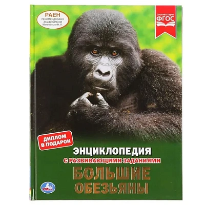 "УМКА". БОЛЬШИЕ ОБЕЗЬЯНЫ (ЭНЦИКЛОПЕДИЯ А4 С РАЗВИВАЮЩИМИ ЗАДАНИЯМИ). ТВЕРДЫЙ ПЕРЕПЛЕТ.