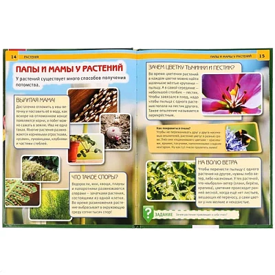 "УМКА". РАСТЕНИЯ (ЭНЦИКЛОПЕДИЯ А4). ТВЕРДЫЙ ПЕРЕПЛЕТ. БУМАГА МЕЛОВАННАЯ 130Г. 197Х255ММ