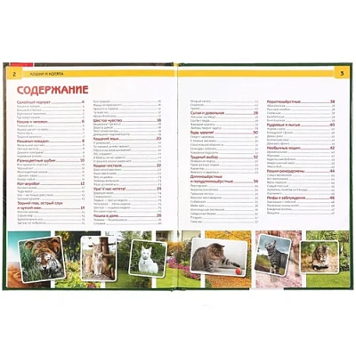 "УМКА". КОШКИ И КОТЯТА (ЭНЦИКЛОПЕДИЯ А4 С РАЗВИВАЮЩИМИ ЗАДАНИЯМИ). ТВЕРДЫЙ ПЕРЕПЛЕТ