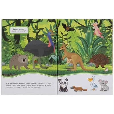 Забавные животные (активити с 3D наклейками, 30 шт) 180х236мм 16 стр Умка