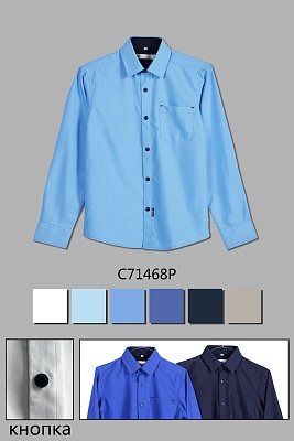 DELORAS Рубашка C71468P