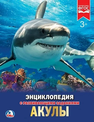 “УМКА“. АКУЛЫ (ЭНЦИКЛОПЕДИЯ А4)