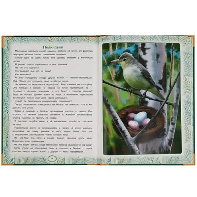 Сказки леса. В.В. Бианки. Большая книга сказок. 240х320мм, 48 стр.