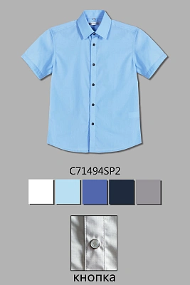 DELORAS Рубашка C71494SP2