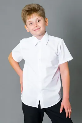 DELORAS Рубашка C70478SP-22