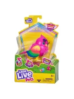 Птичка “Певунья Хиппи“