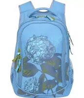 Grizzly Рюкзак RD-752-2