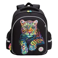 Grizzly Рюкзак RAz-386-5