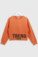 DELORAS Свитшот 21565