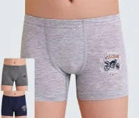 BAYKAR Шорты 3371-99