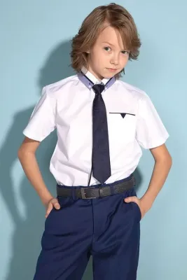 DELORAS Рубашка C70991S