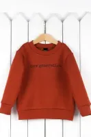 BABY BOOM Джемпер Д42/4-Ф