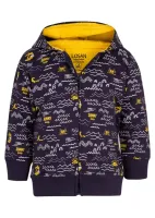 LOSAN Мастерка 015-6002AL-6003399