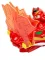 Dragons Игровые наборы 603001