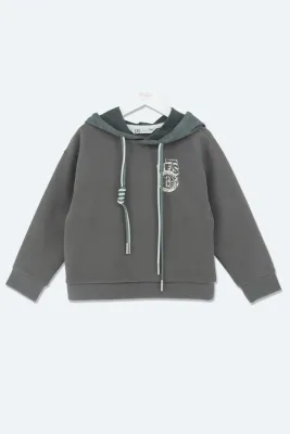 DELORAS Толстовка 30065