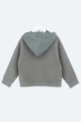 DELORAS Толстовка 30065