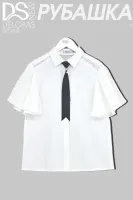 DELORAS Брюки 23088