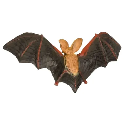 Набор фигурок животных серии “Мир диких животных“: зебра, летучая мышь, змея, сурикат