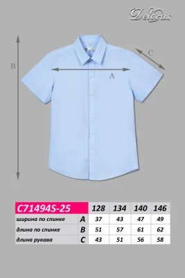 DELORAS Рубашка C71494S-25