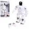 DEVO Robot Игрушки на радиоуправлении WD-13968