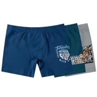 BAYKAR Шорты 3390-99