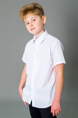 DELORAS Рубашка C70478S-22