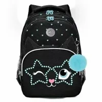 Grizzly Рюкзак RG-460-6