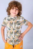 COLABEAR Рубашка 110950