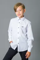 DELORAS Рубашка C71226